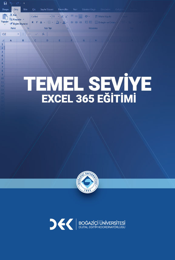 Temel Seviye Excel 365 Eğitimi için kapak görseli
